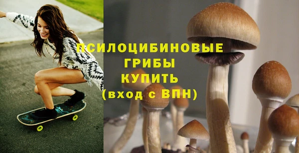 мет Нязепетровск